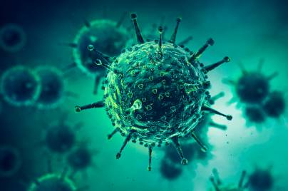Virus