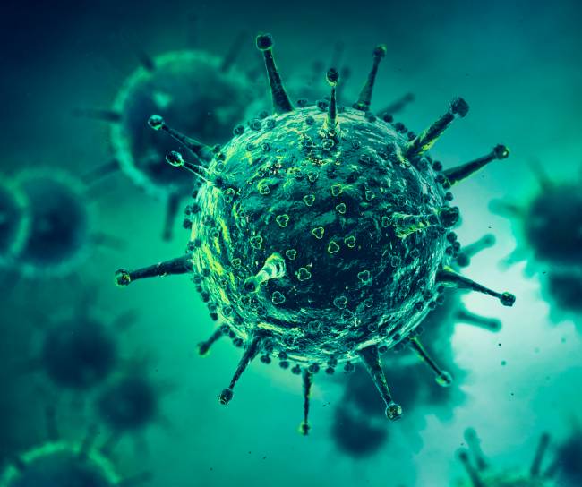 Virus