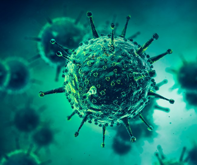 Virus