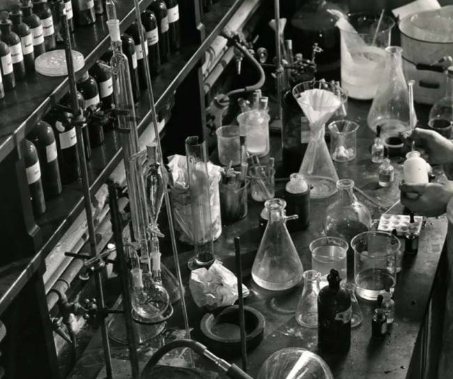 Laboratory employee