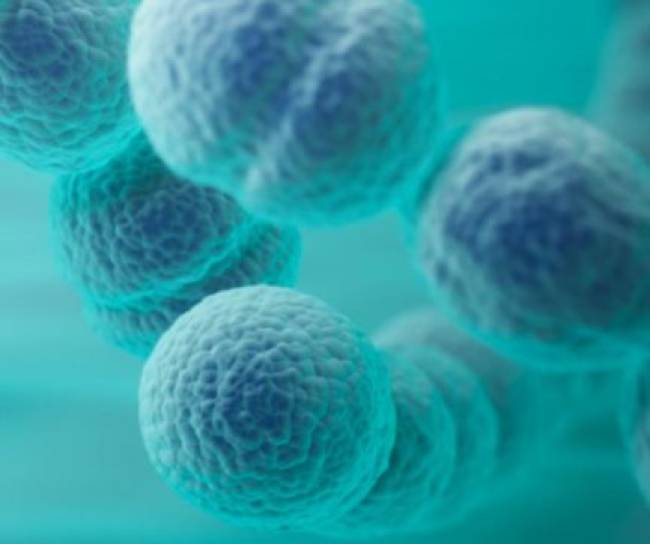 1977-First-pneumonia-vaccine-was-approved