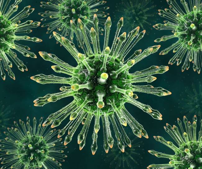 virus