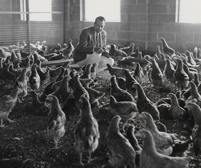 1948-MSD-enters-the-animal-health-m-MER-PHO-0372-0020-Image00004
