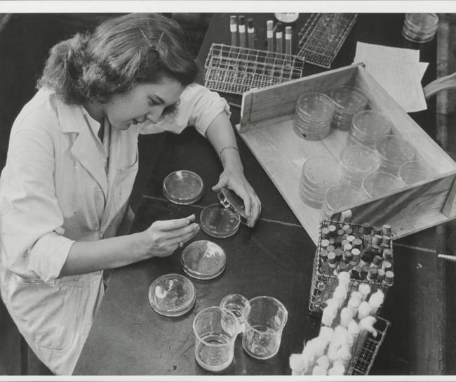 Image historique MSD femme