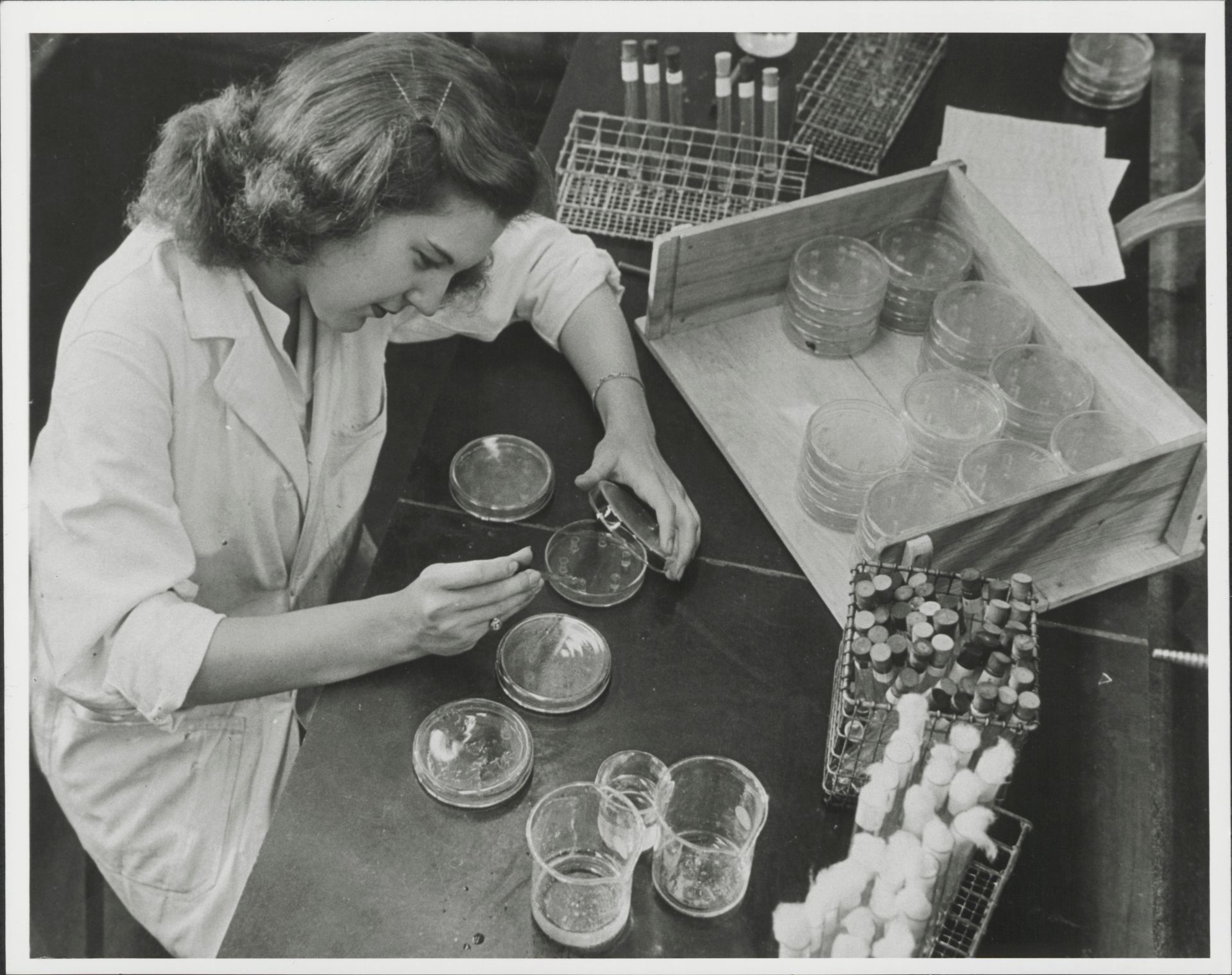 Image historique MSD femme