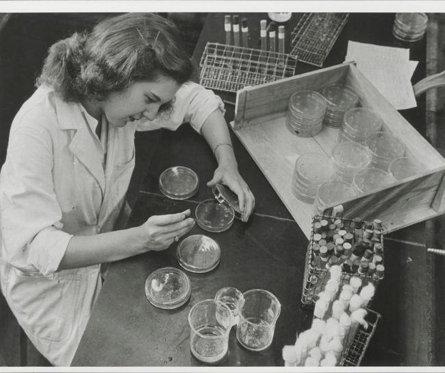 Image historique MSD femme