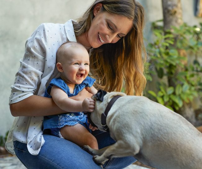 Celebration of life parent baby and dog playing